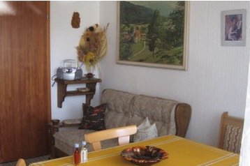 Family pension Frauenau 2